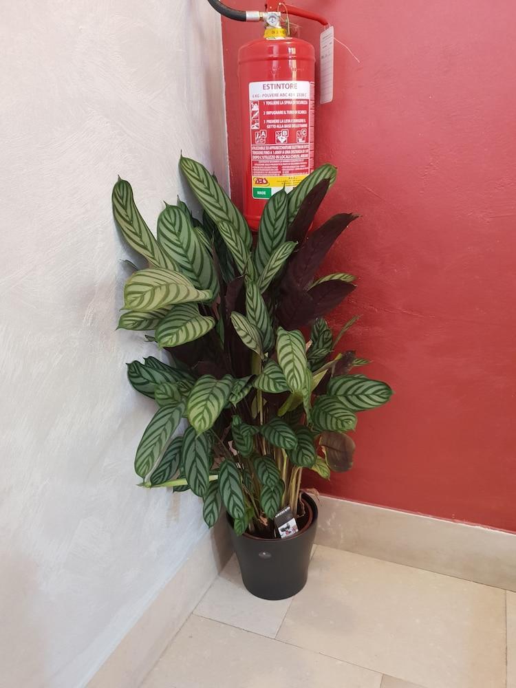 Salieri Hotel Venecia